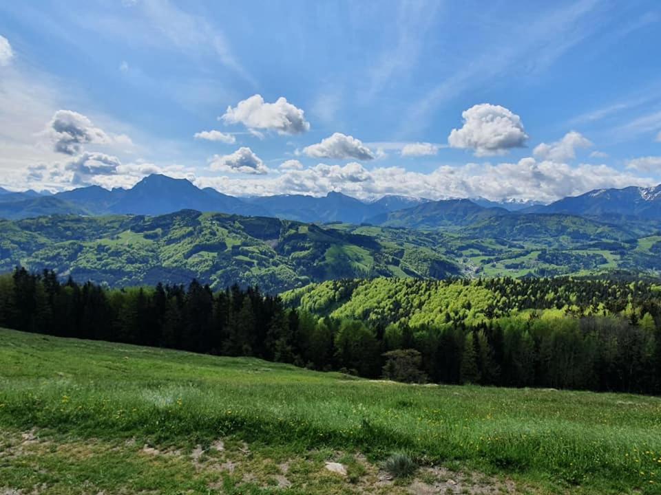 Holzhaus "Zum Schwarz'N" Apartment Aurach am Hongar Екстериор снимка